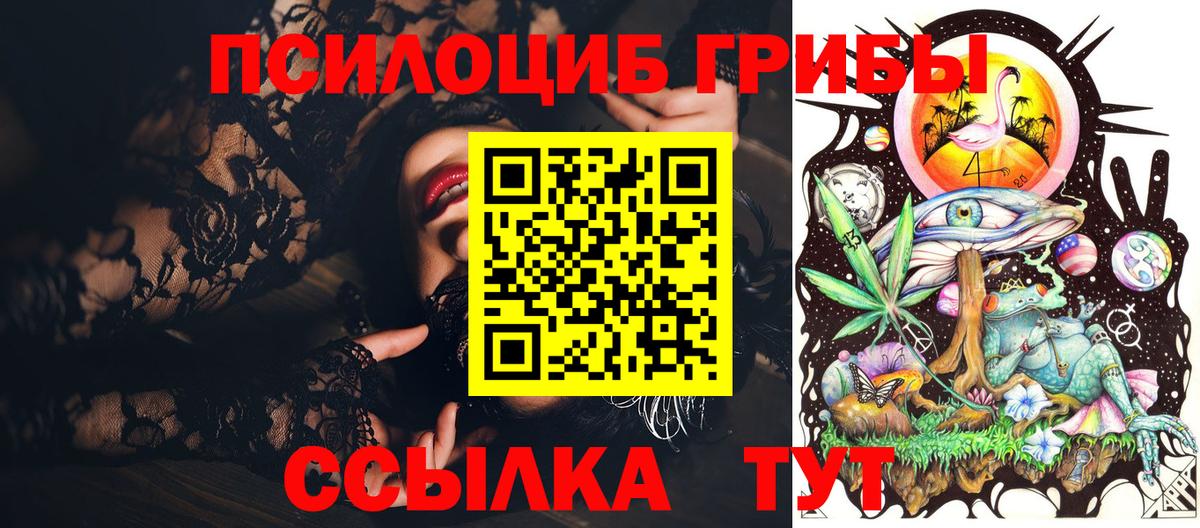 Галлюциногенные грибы Psilocybe Армавир