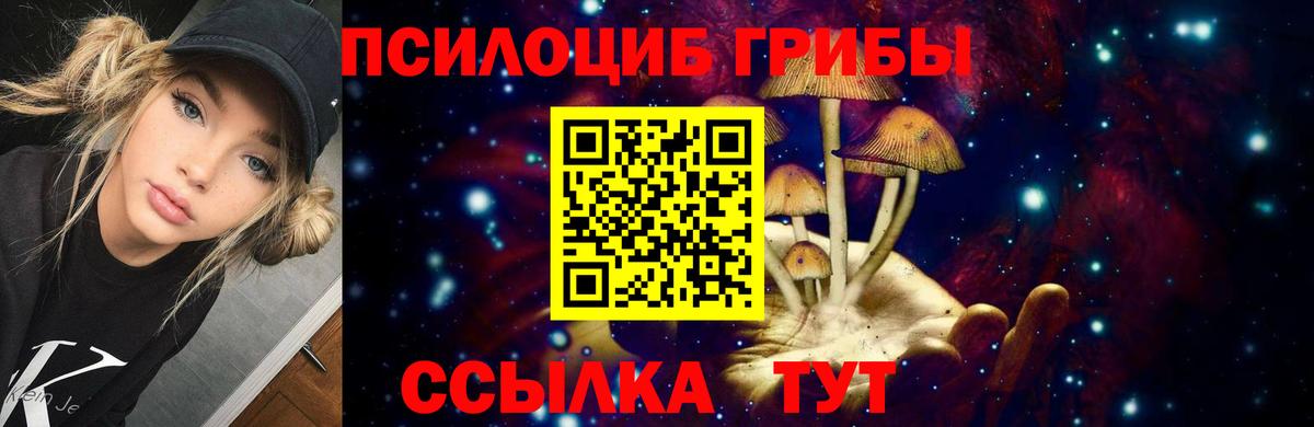 Псилоцибиновые грибы мухоморы  Вход с VPN  Псилоцибиновые грибы прущие грибы  Армавир 